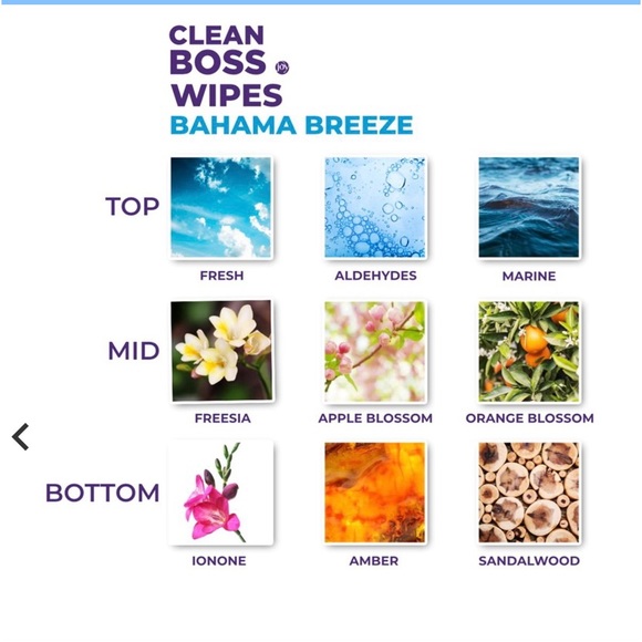 Joy Mangano Storage & Organization Joy Mangano Clean Boss Wipes Set